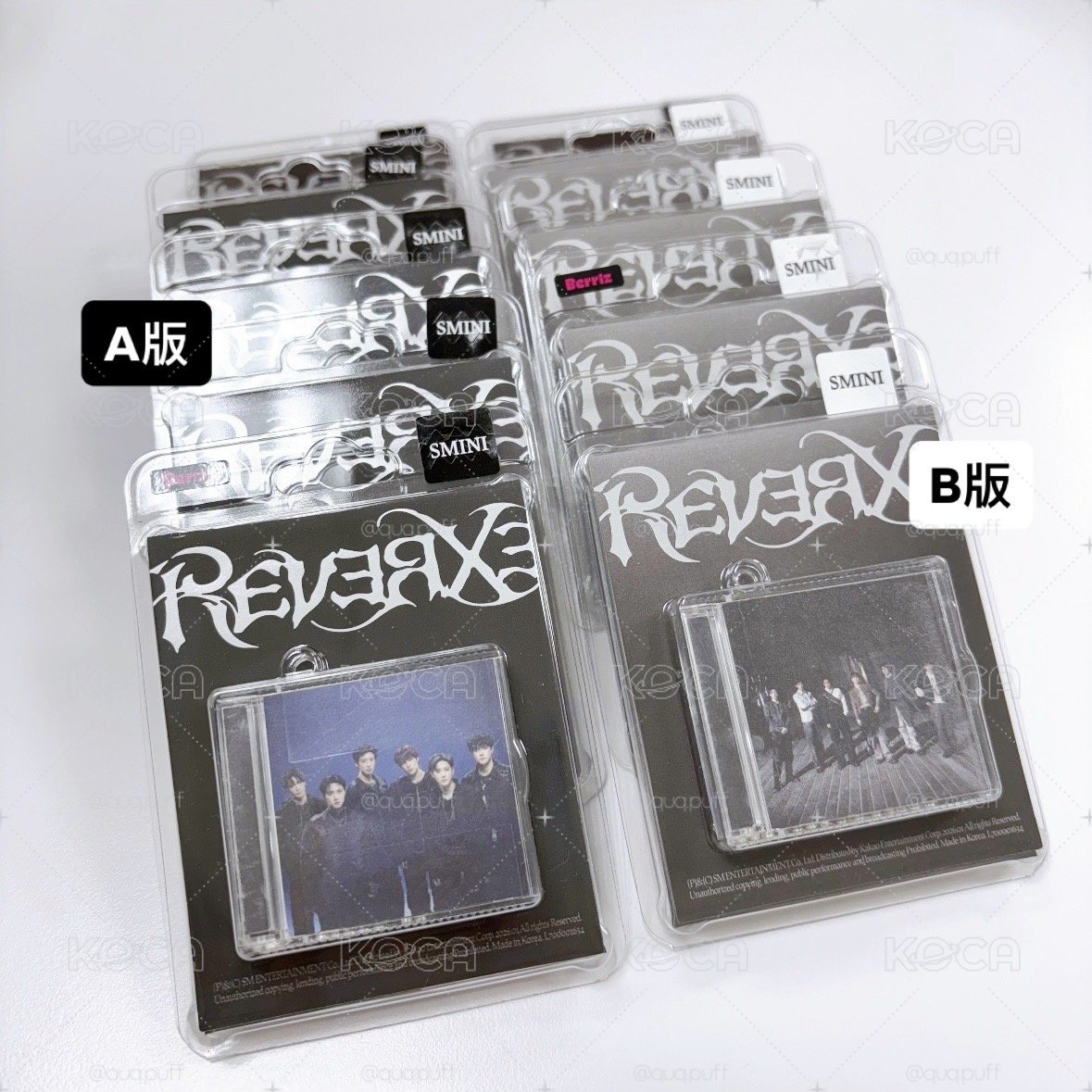 EXO REVERXE  BigSmini（未拆專）