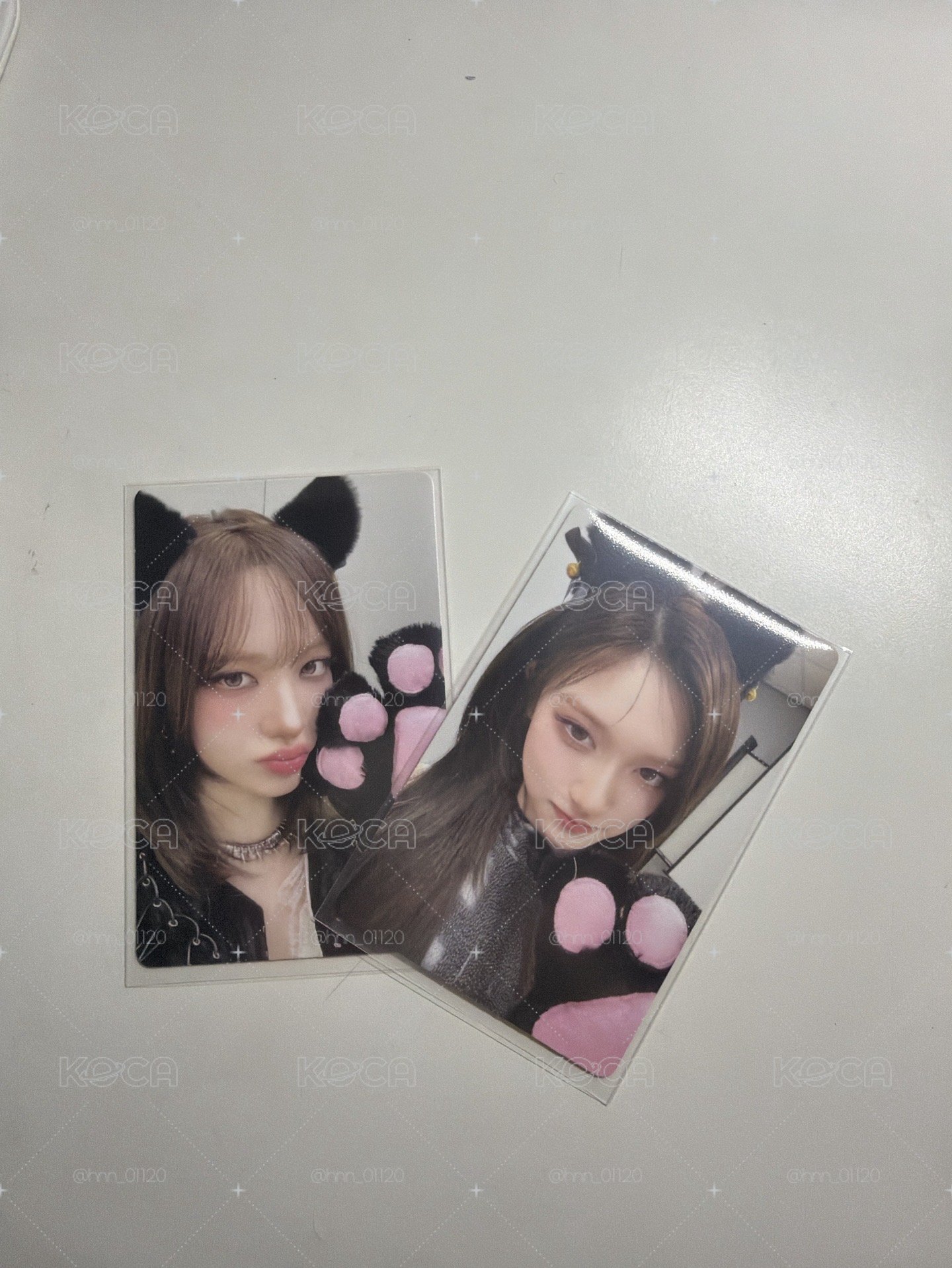 am貓抓🐱
