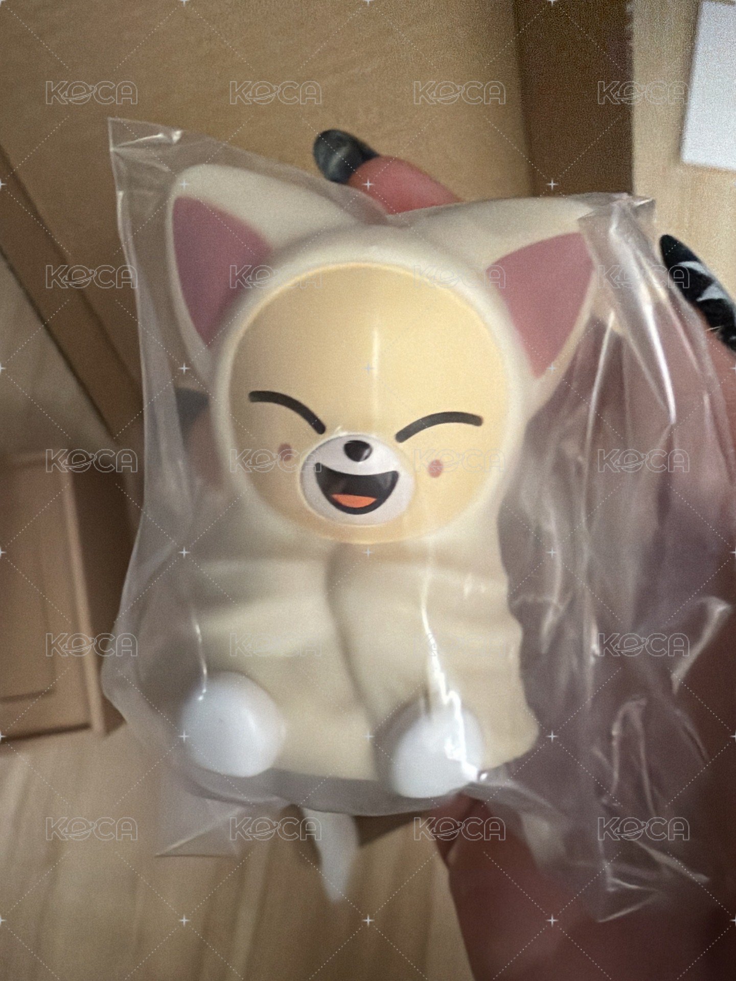 夜燈寅