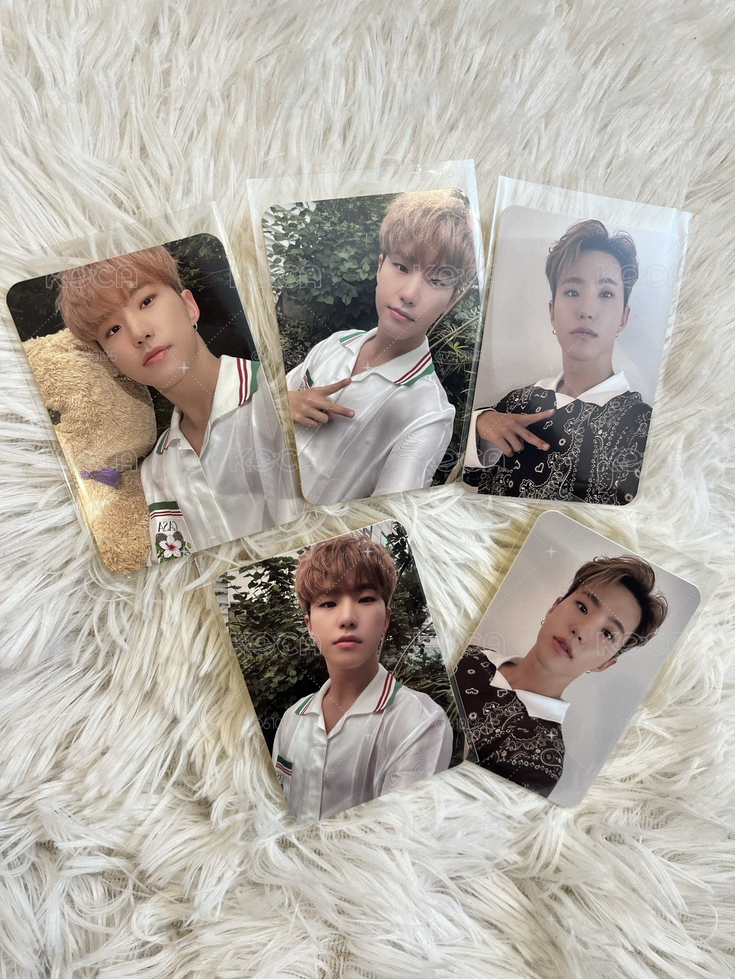 SEVENTEEN DICON My choice is... hoshi