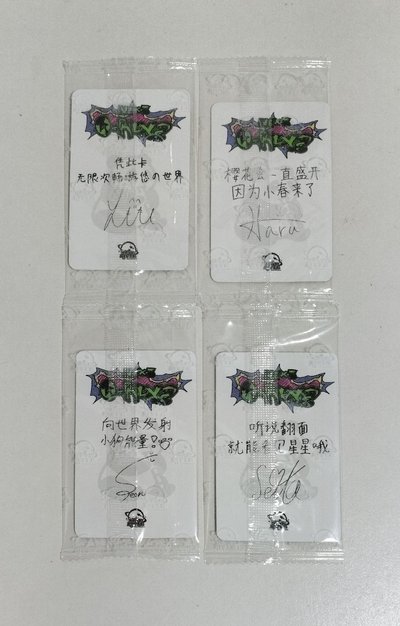 迷二 星河 2.0 熊貓