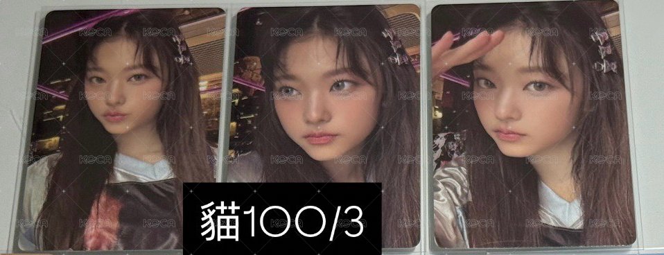 貓100/3
