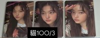 貓100/3