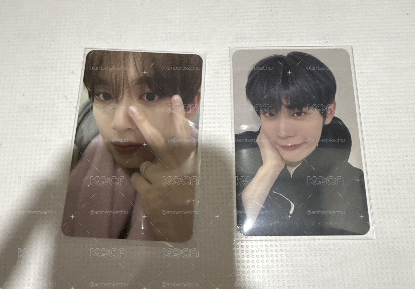 栽培園