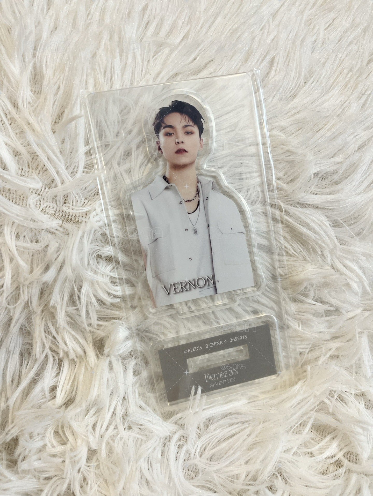 face the sun Vernon 立牌