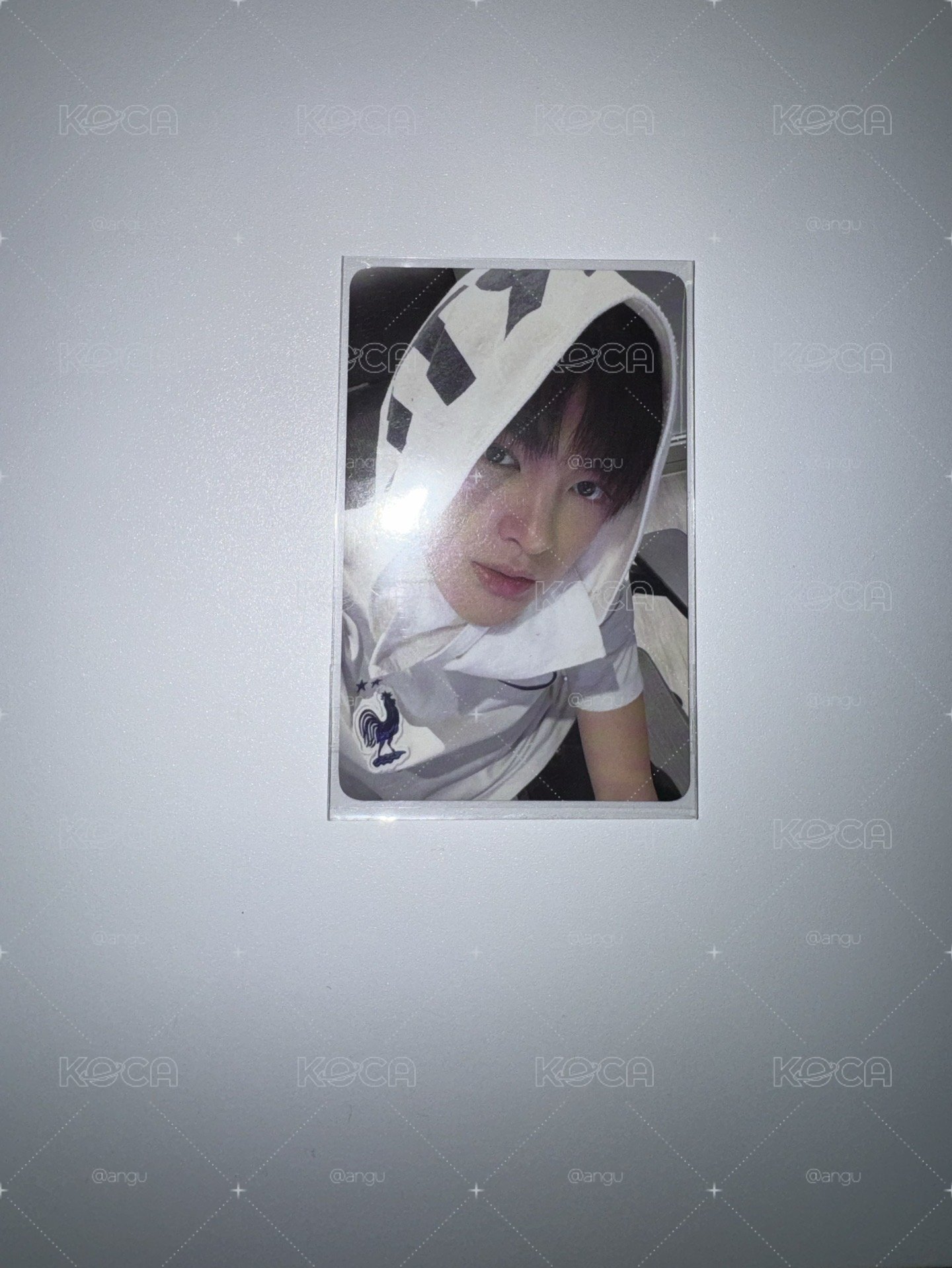 SC鎬