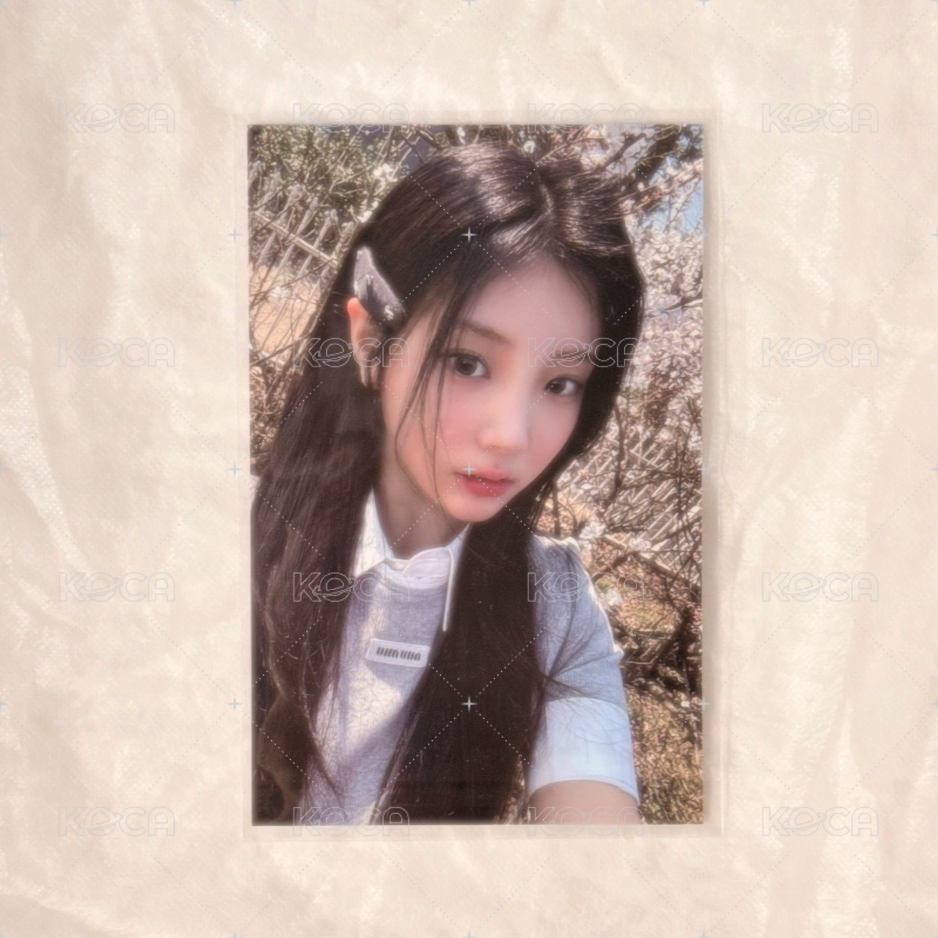Wonhee B｜需多帶一組Yunah或Moka