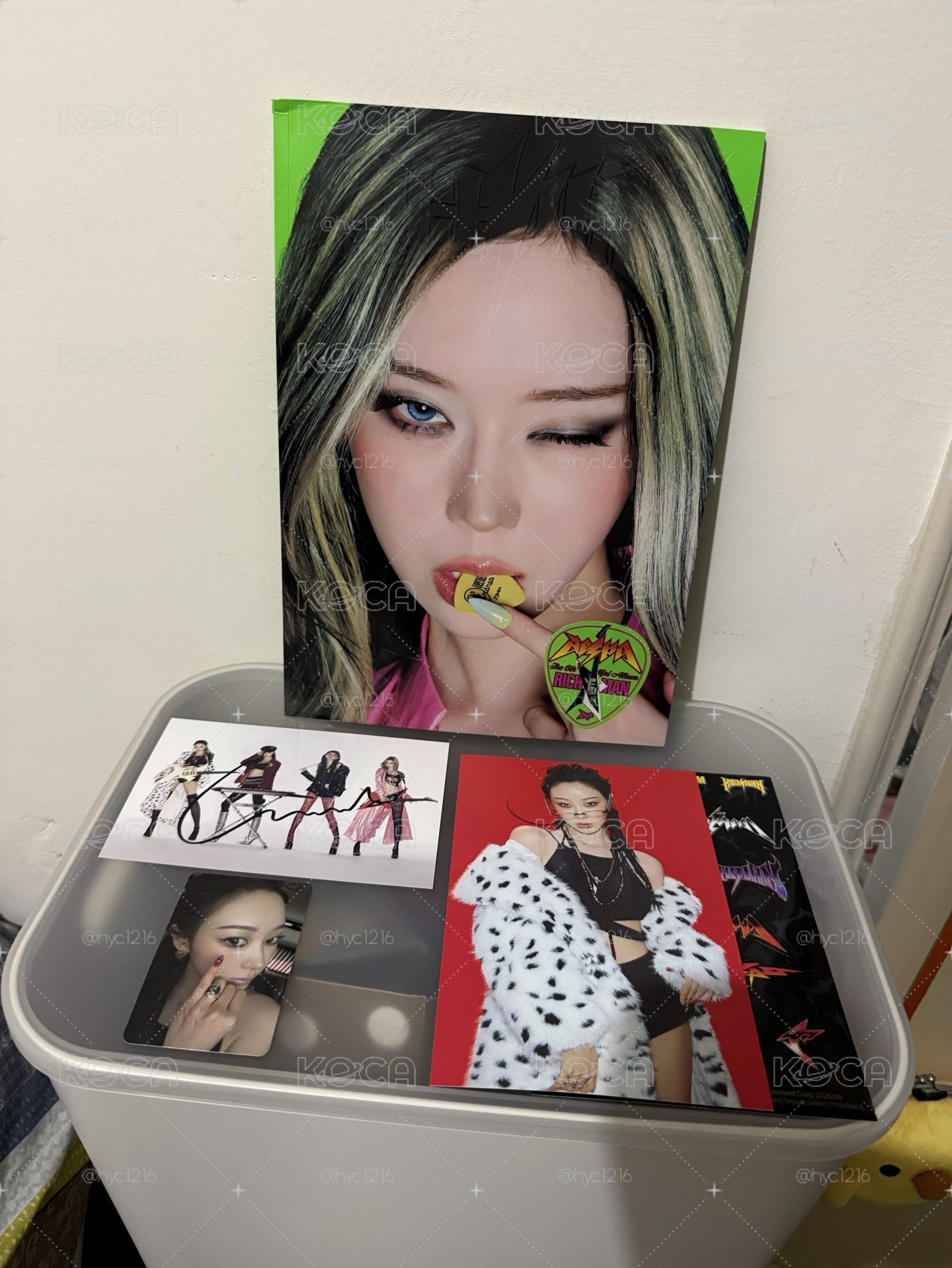 美網親簽 冬封 吉明信片 吉卡 吉簽