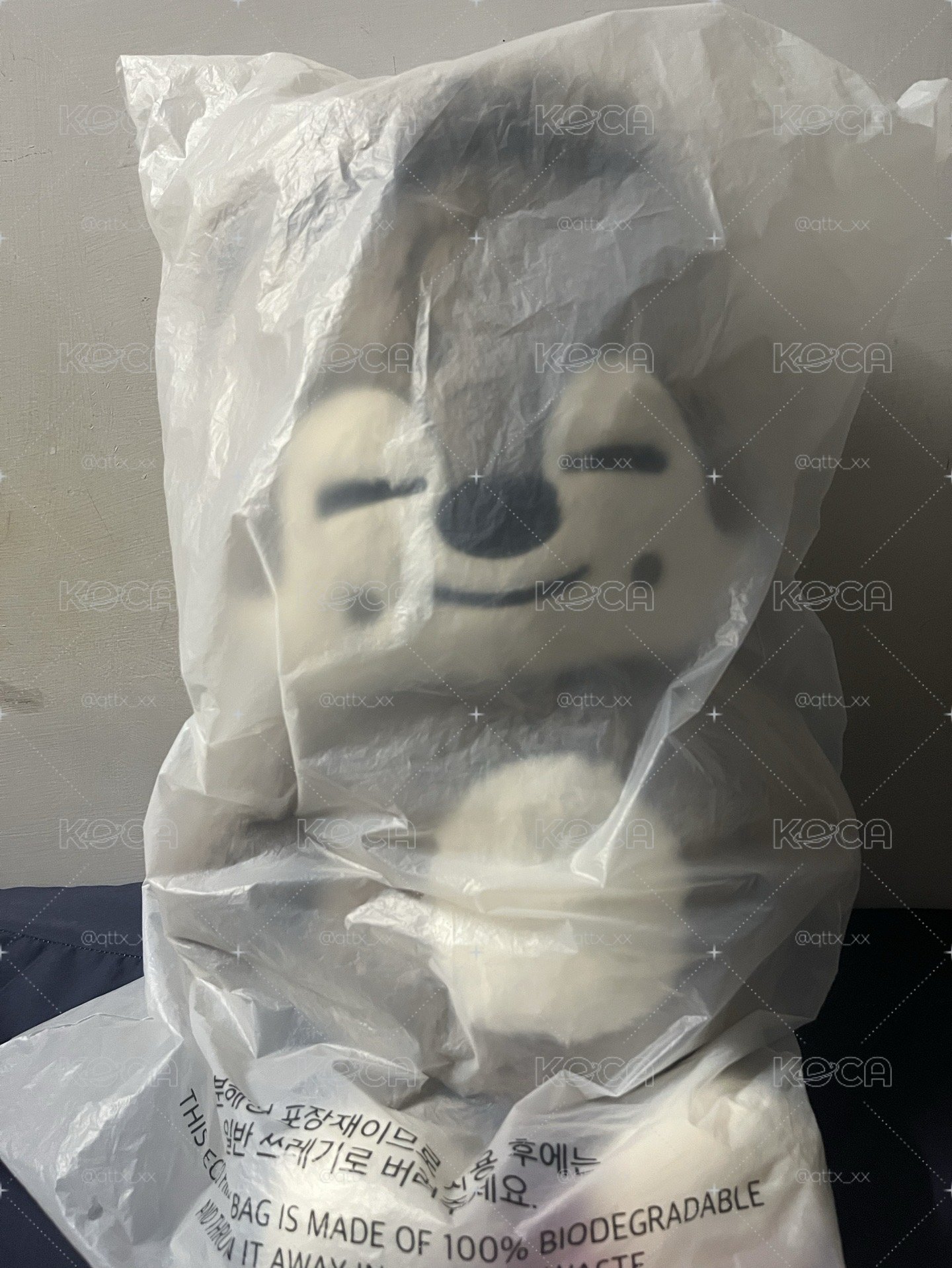 全新未拆 泰迪燦