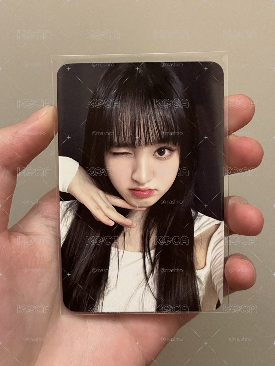 Liz 小蕃茄栗 中文卡背