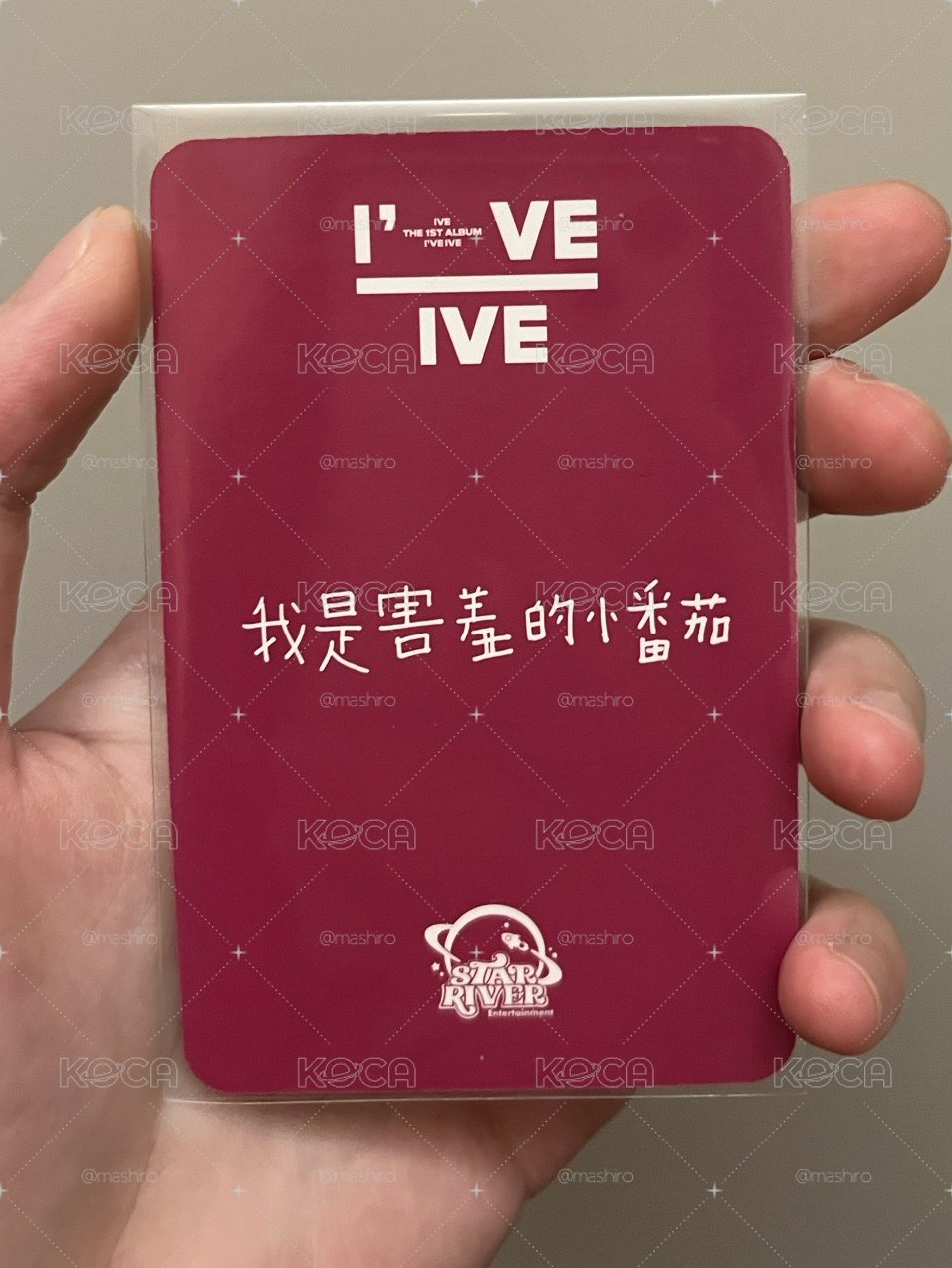 Liz 小蕃茄栗 中文卡背