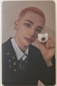 電子雞特典