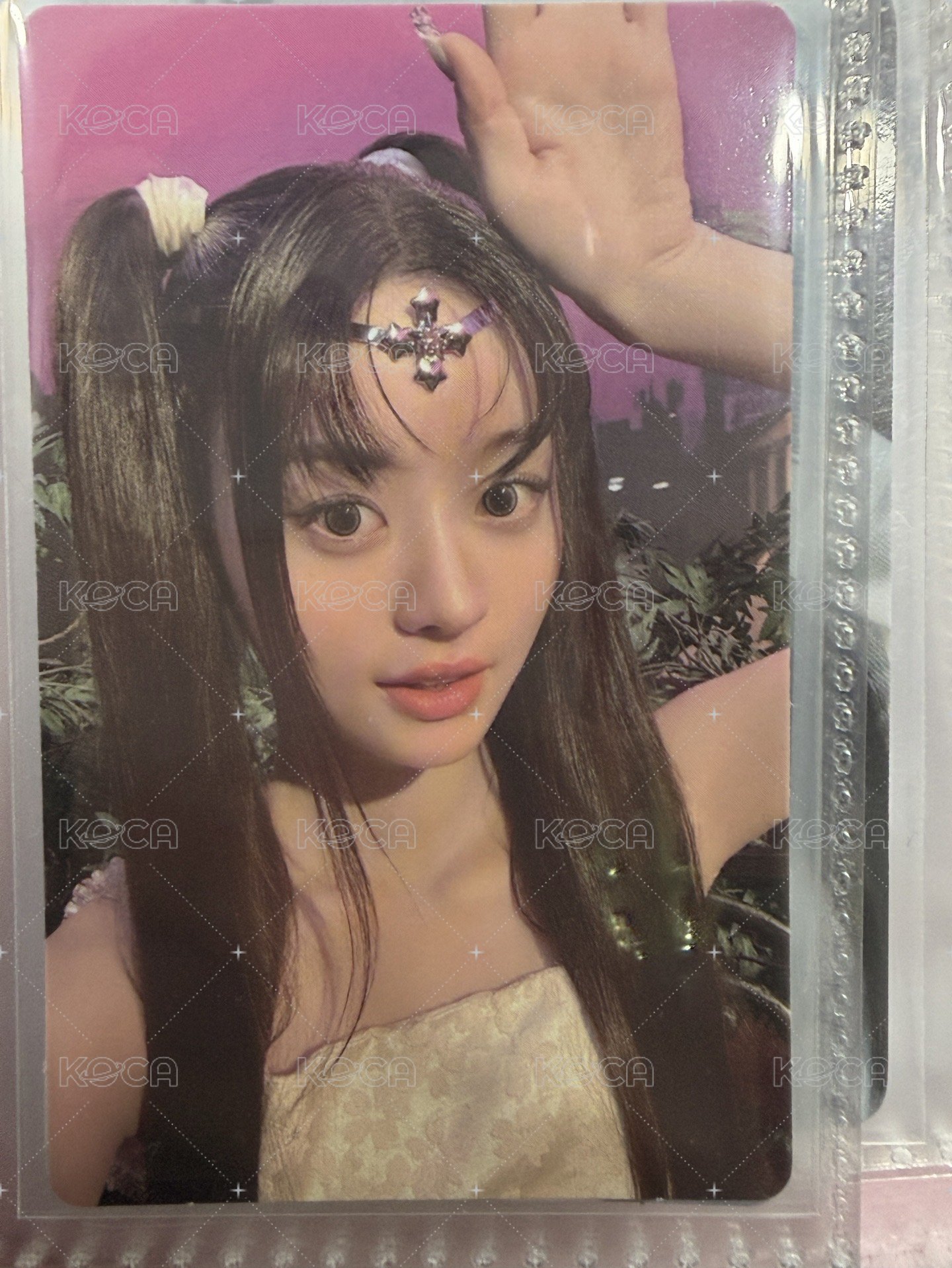 wvs特典