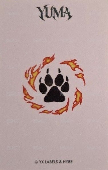 BTW 隨機卡 _F 背面