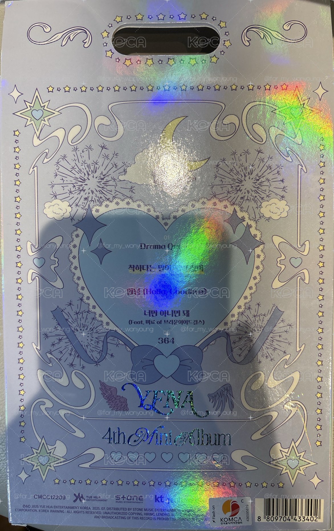 ｜Yena｜天鵝🦢空專