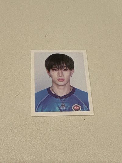 StrayKids 燦彬辰寅證件照專區