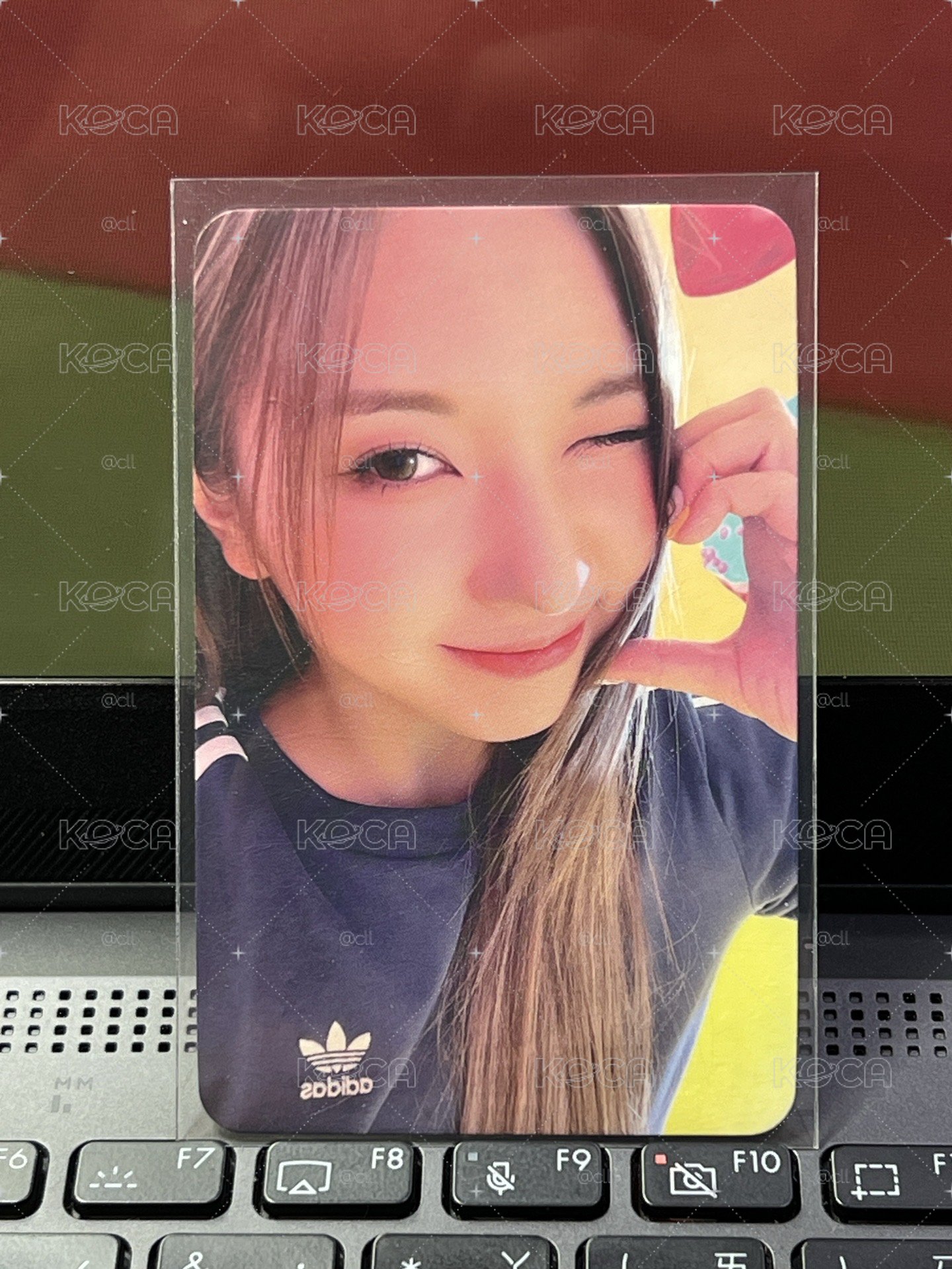 🐋expérgo bg預售特典裴