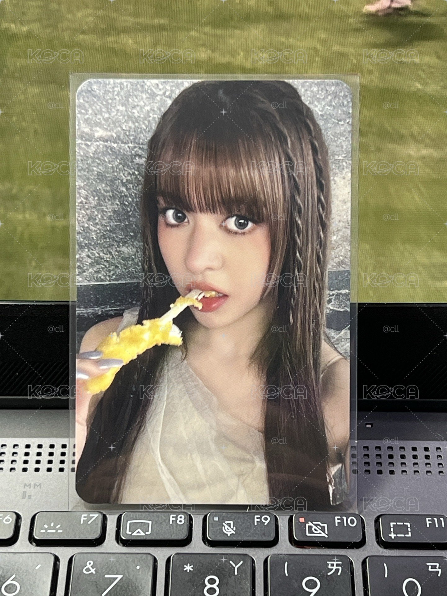 🐋FORWARD ms 起司條莉