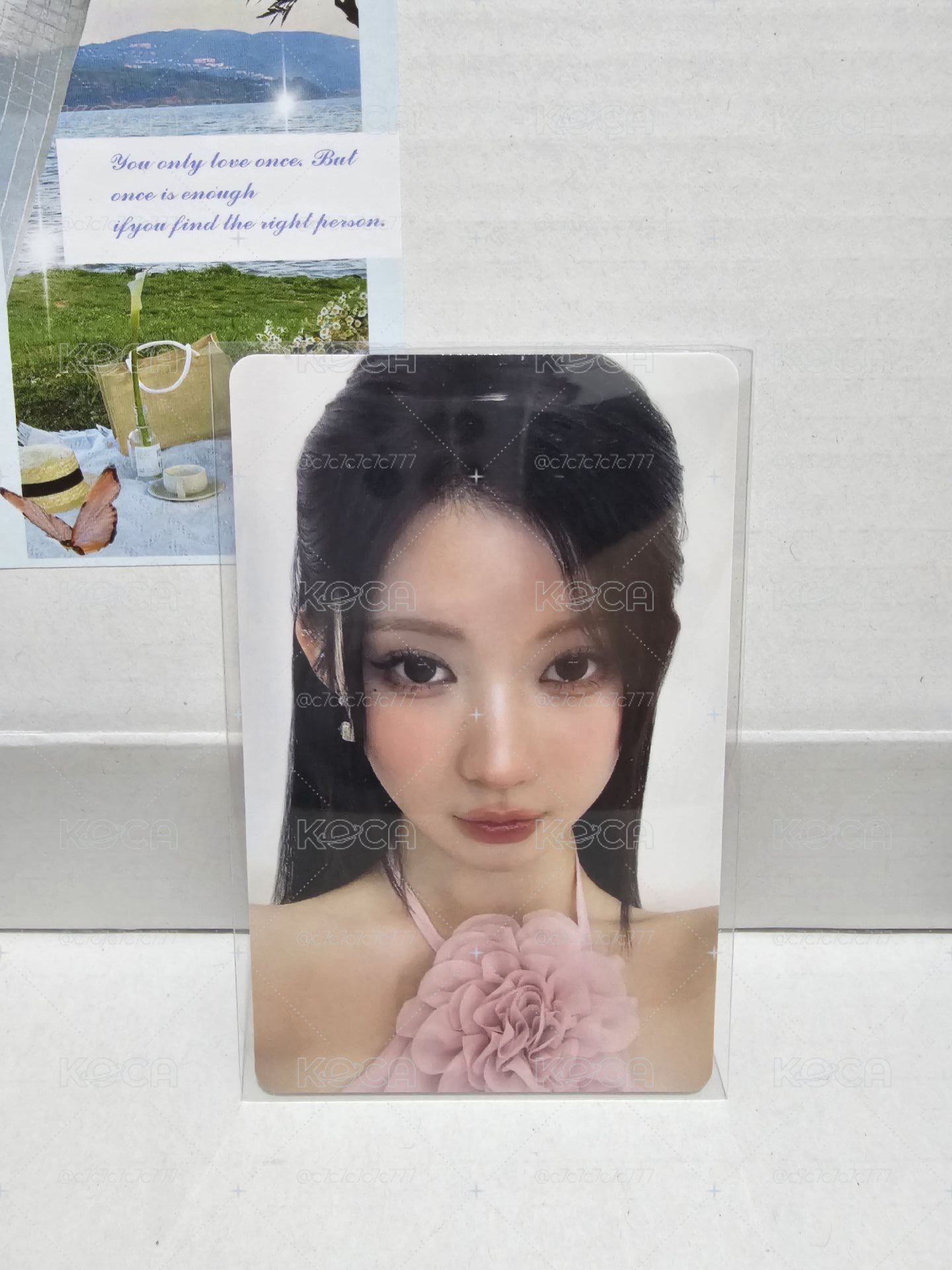 美瞳紗