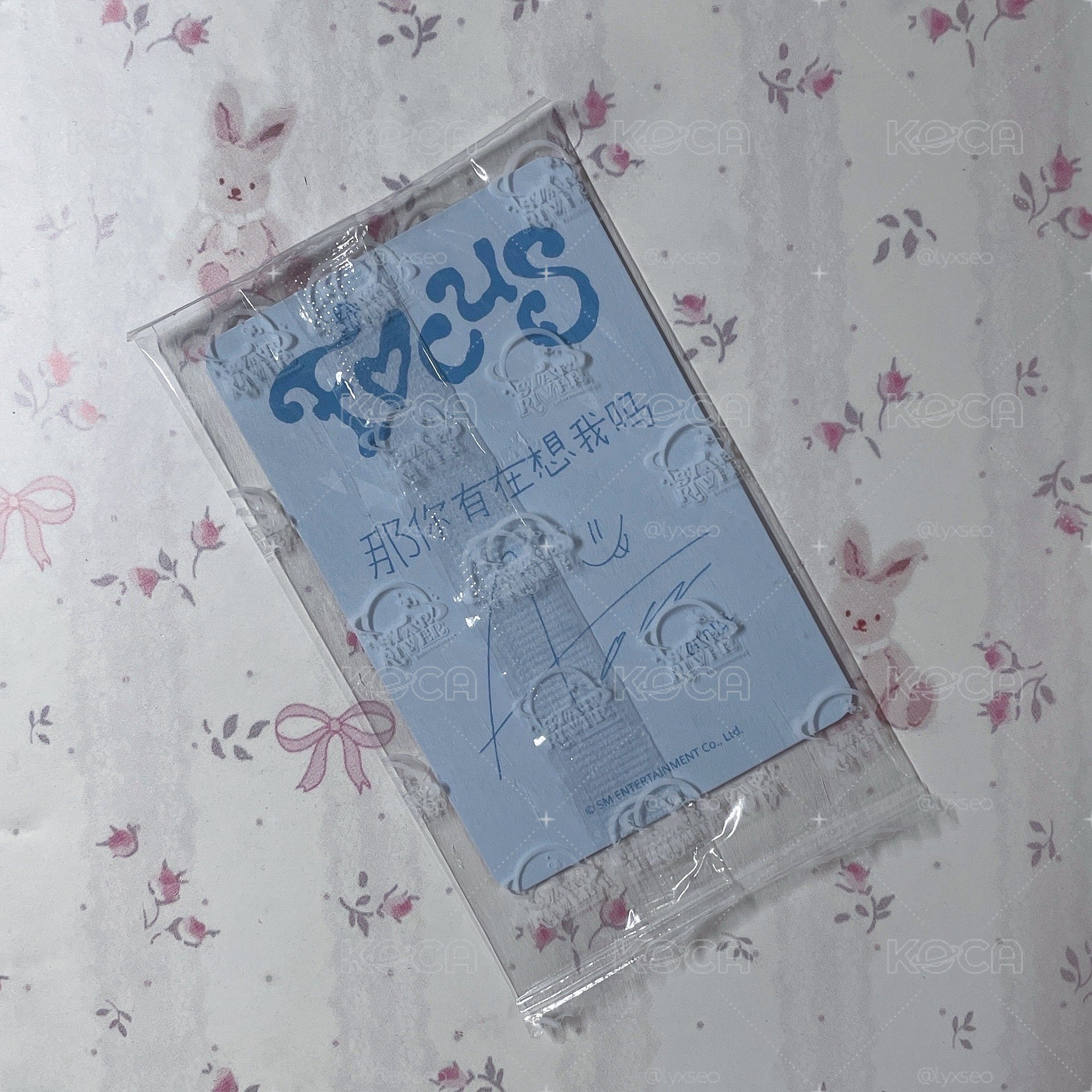 ANA｜Focus sr3.0 「那你有在想我嗎」