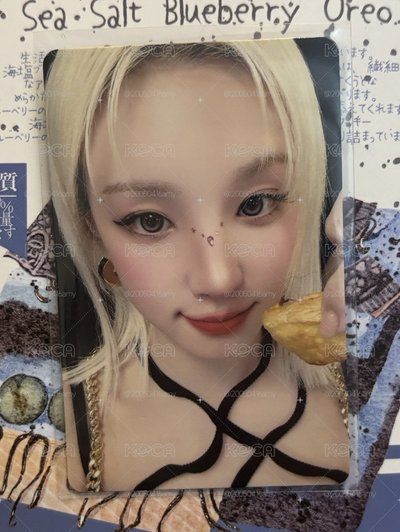 💙蛋塔琦 一元起標💙