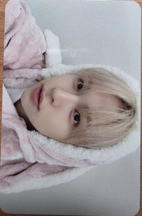 I Did It hl 3.0 特典卡 兔絨