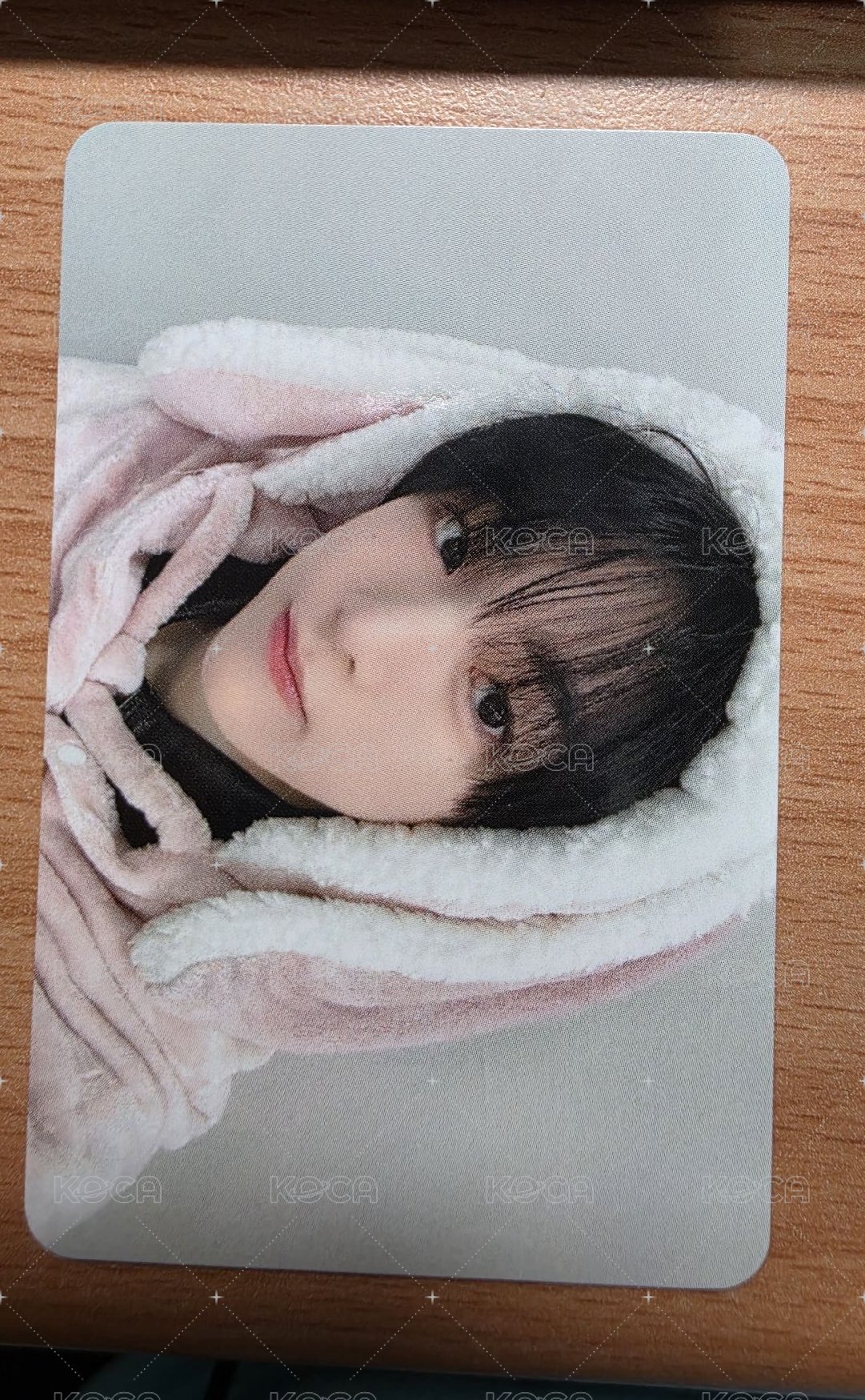 白兔