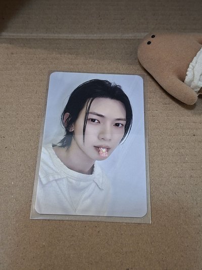 🍄尚卡（軟糖 拉拉熊 帽踢 恐龍
