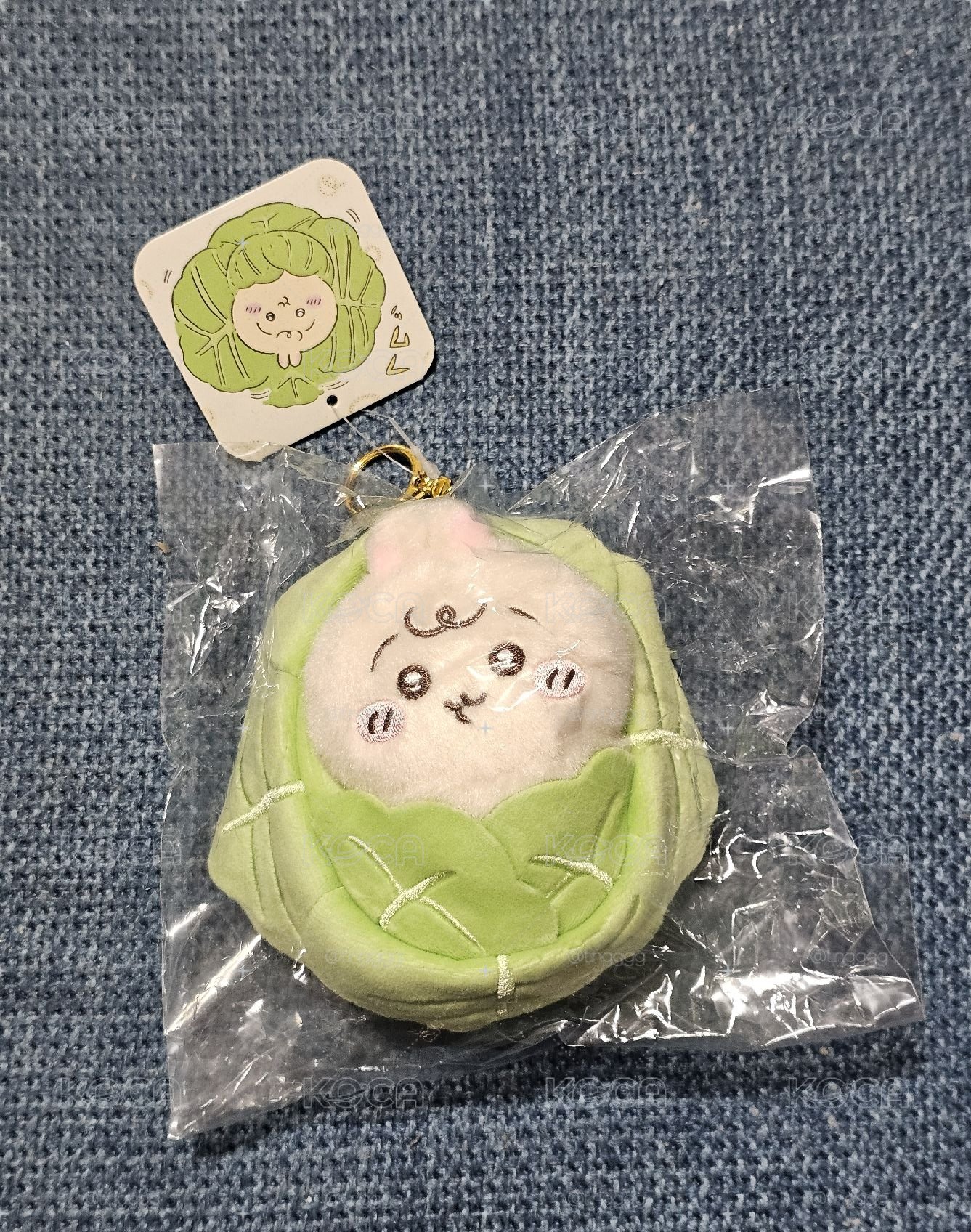 高麗菜兔兔寶寶