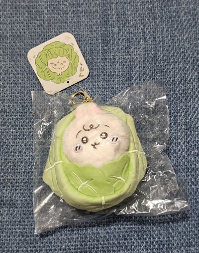 高麗菜寶寶