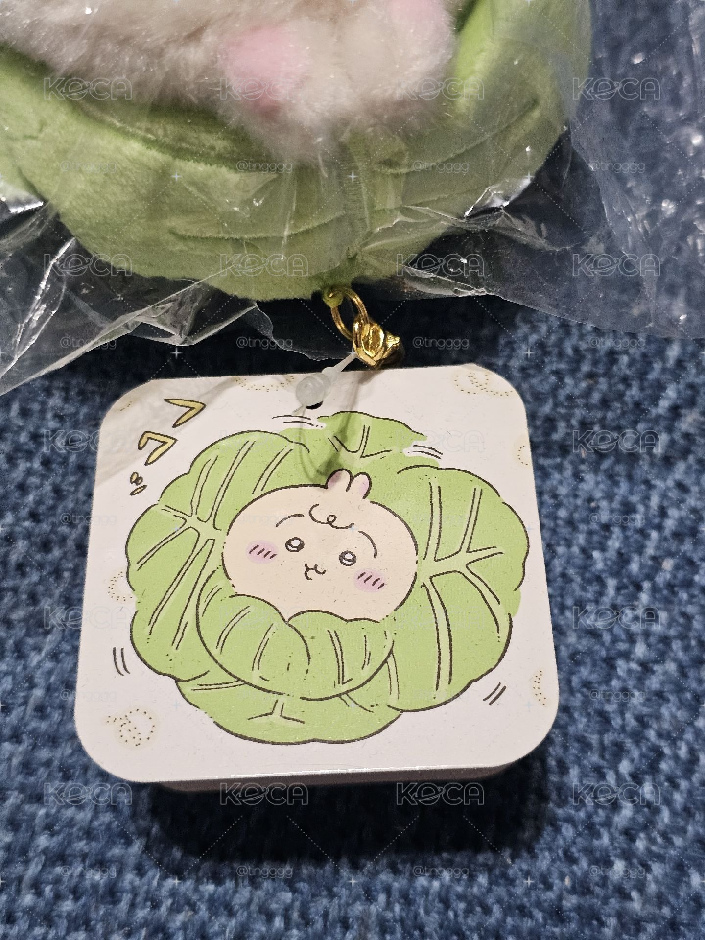 高麗菜寶寶