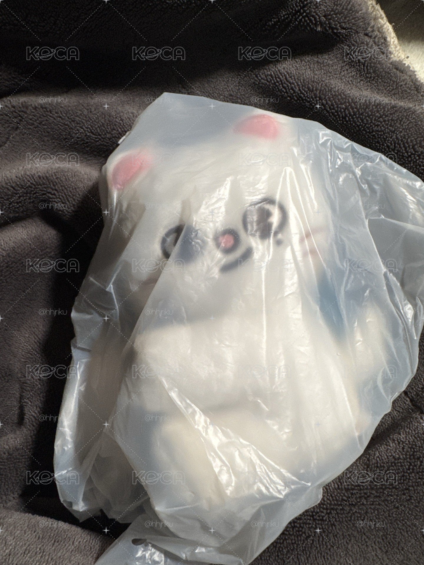skzoo全球快閃抱抱娃