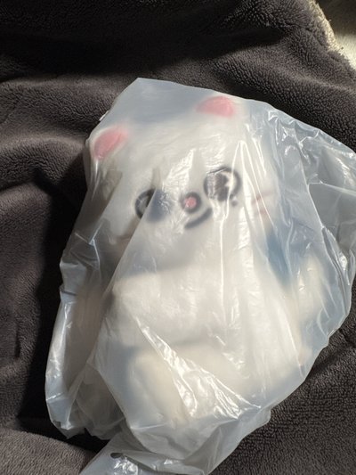 skzoo全球快閃抱抱娃