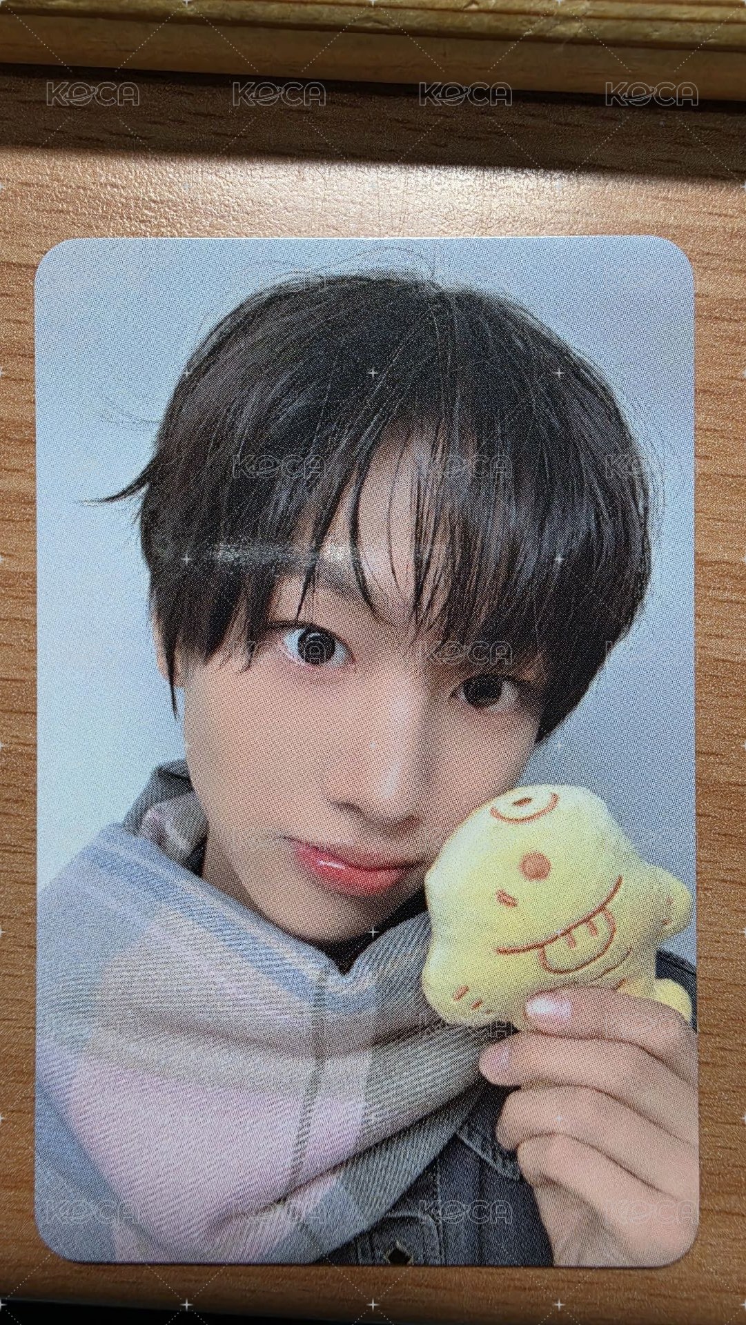 炫魚