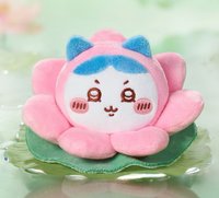 杭州旗艦店 吊娃 荷花小八