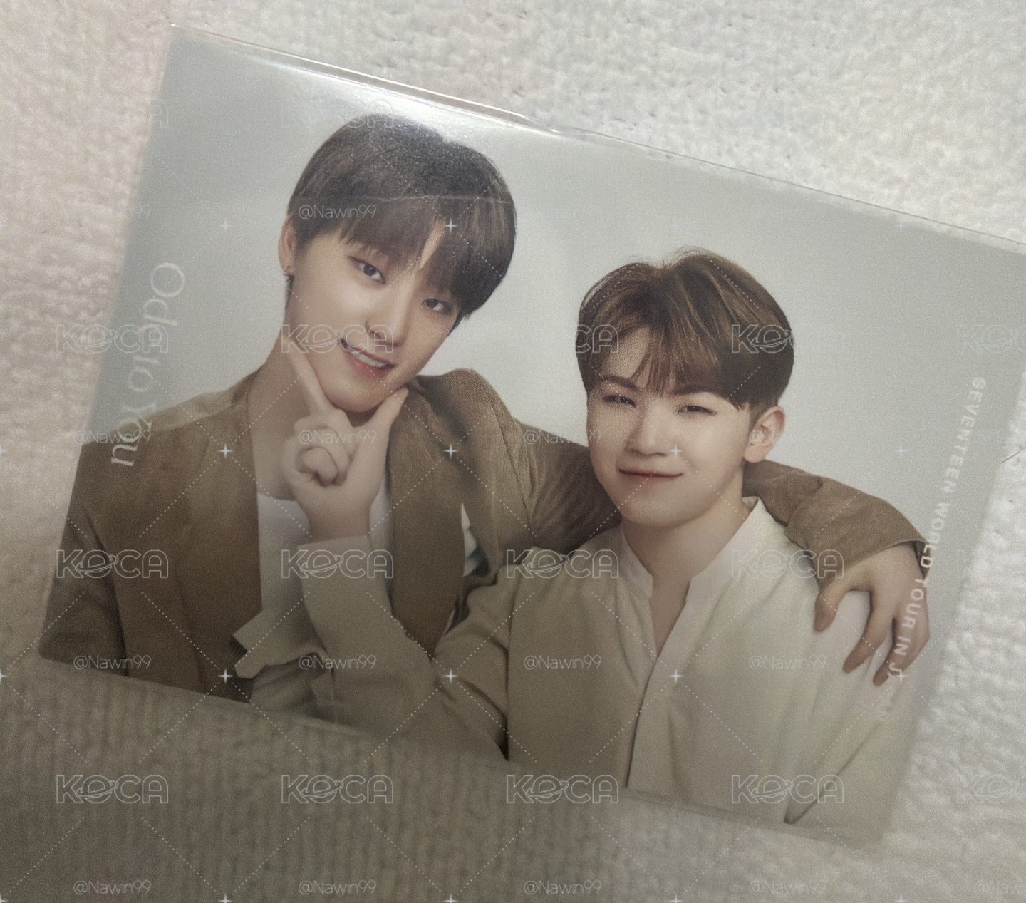 Seventeen Woozi Dino 小卡