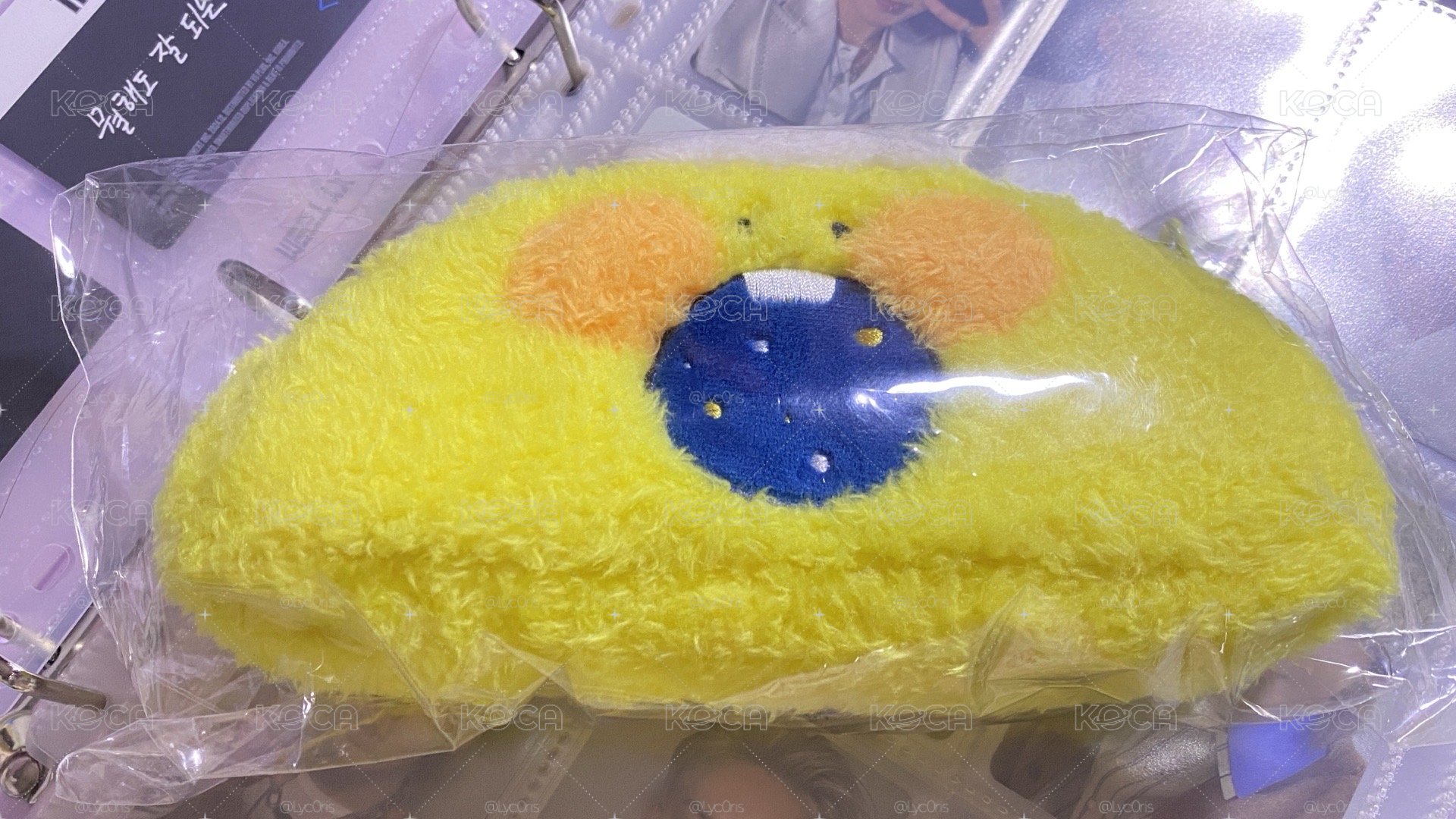 蘇庭煥 podong筆袋
