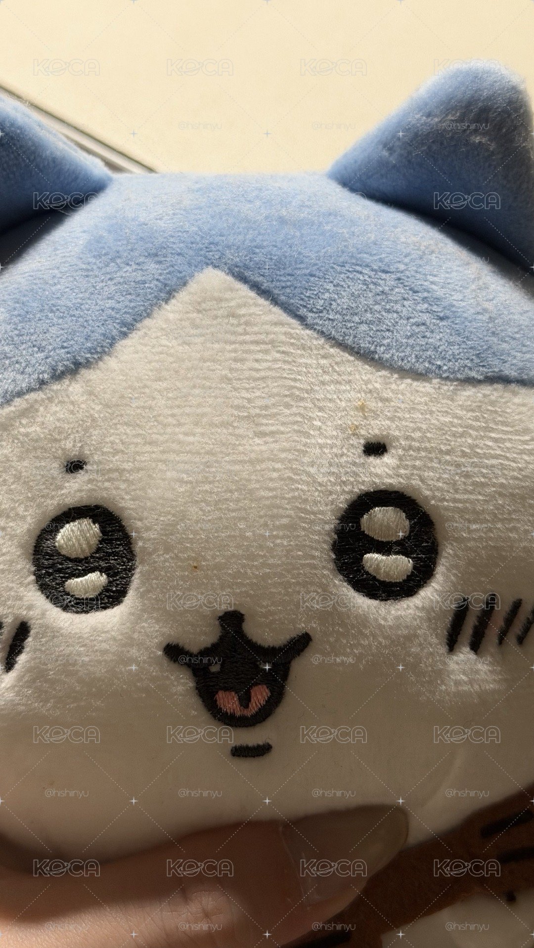 會唱歌的小八貓