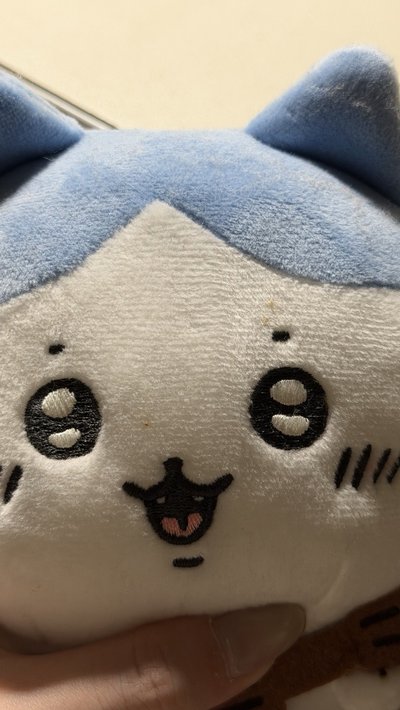 會唱歌的小八貓