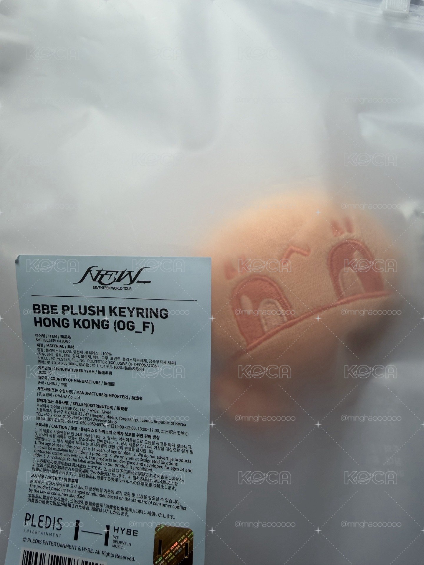 地區限定 蹦蹦吊飾