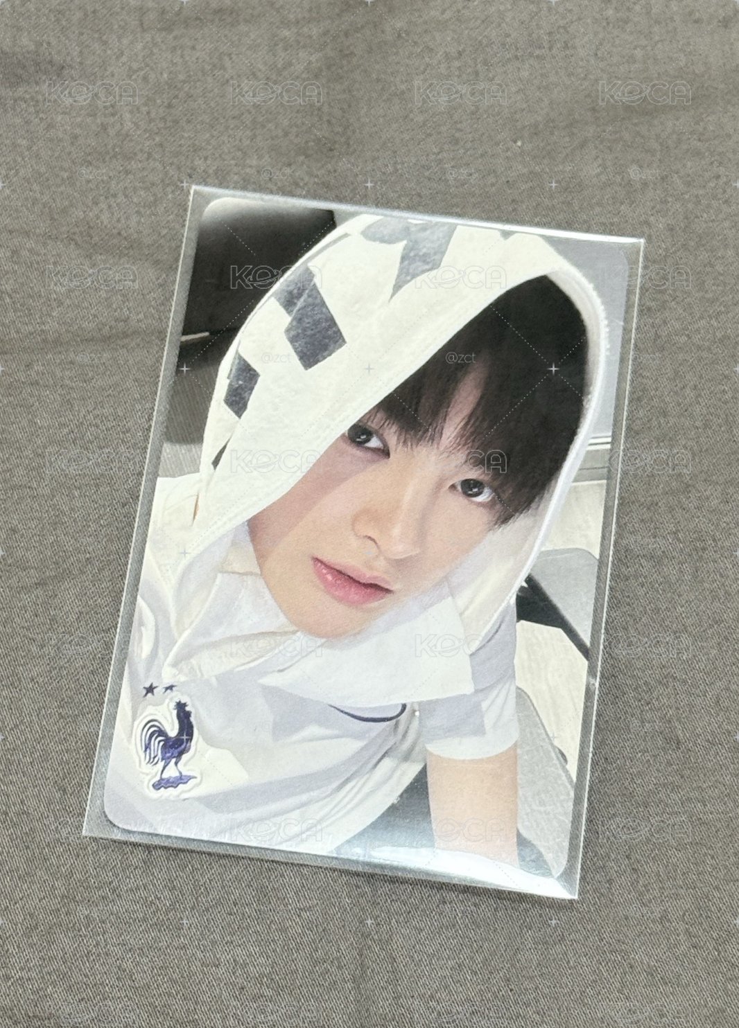 sc鎬