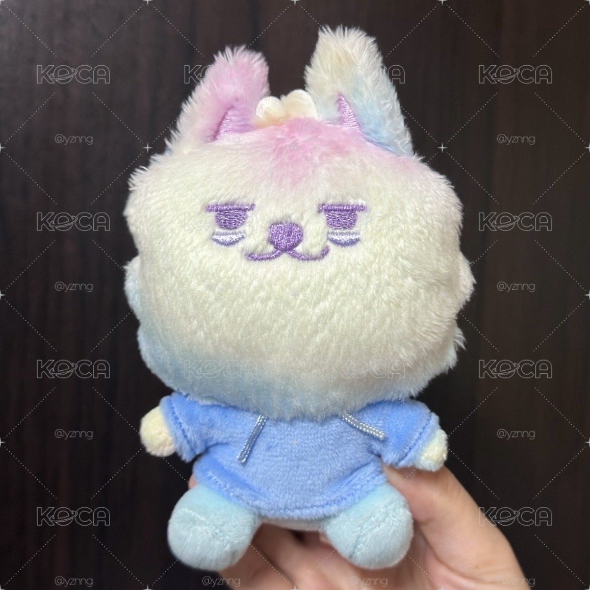 淡顏彩猛
