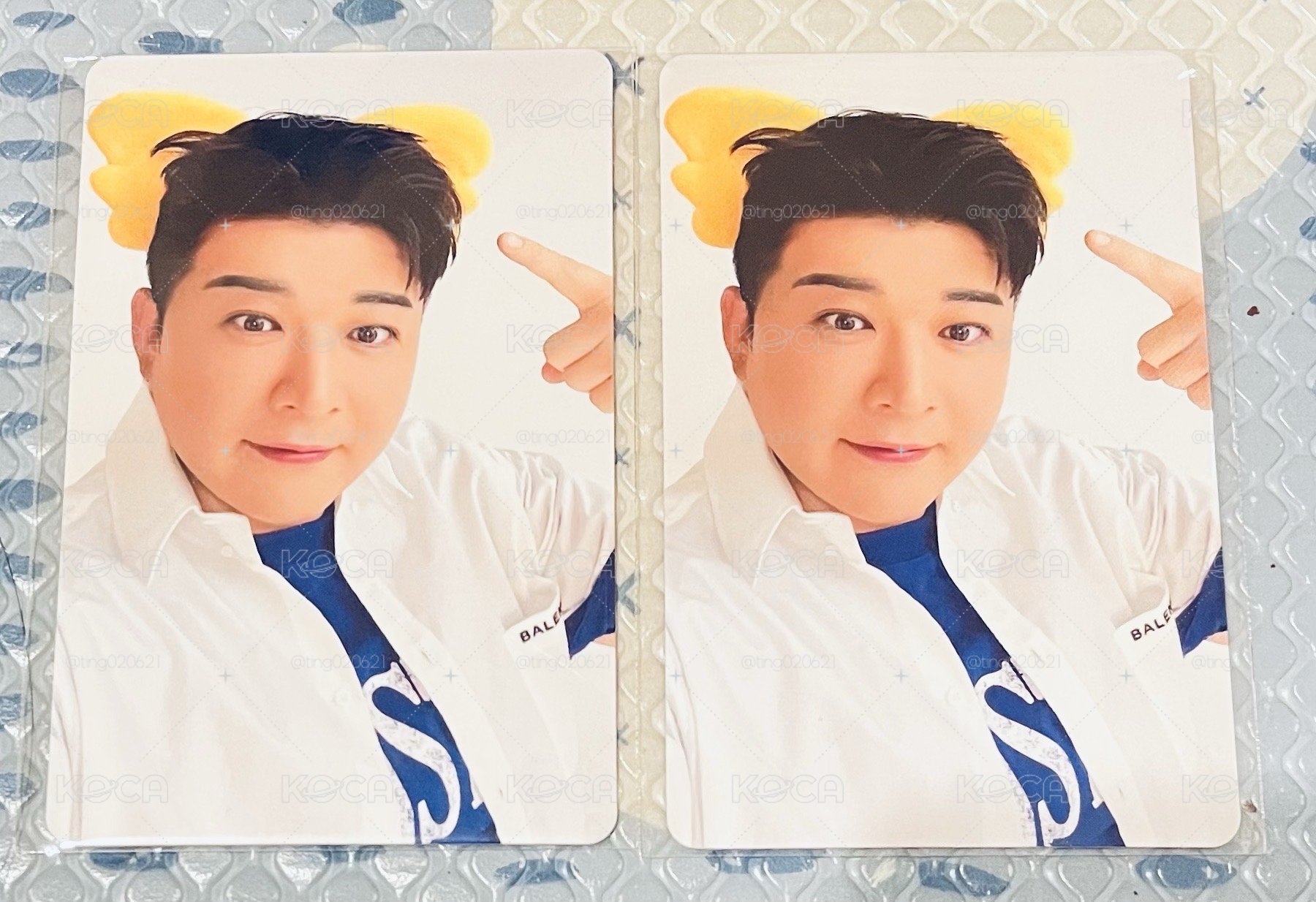 SJ小熊餅乾小卡 神童 Super junior