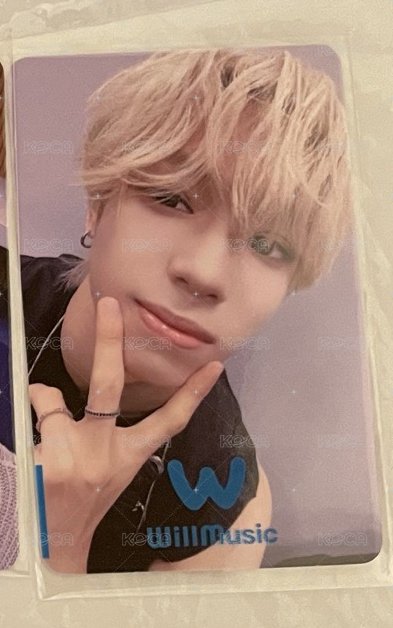 V ver 帝翁