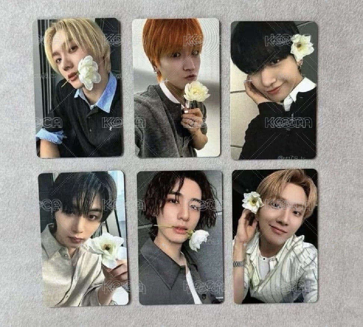 BND The action wvs特典