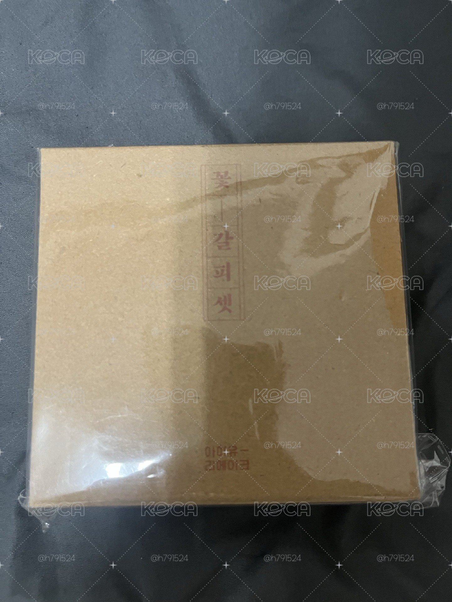 IU 李知恩 週邊 紙鎮