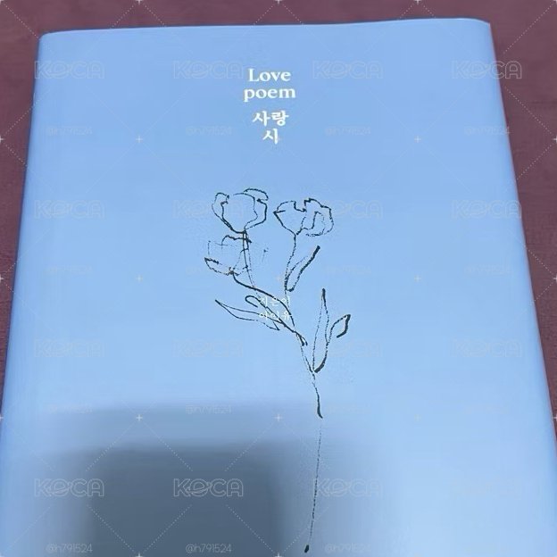 IU 李知恩 Love poem 全專