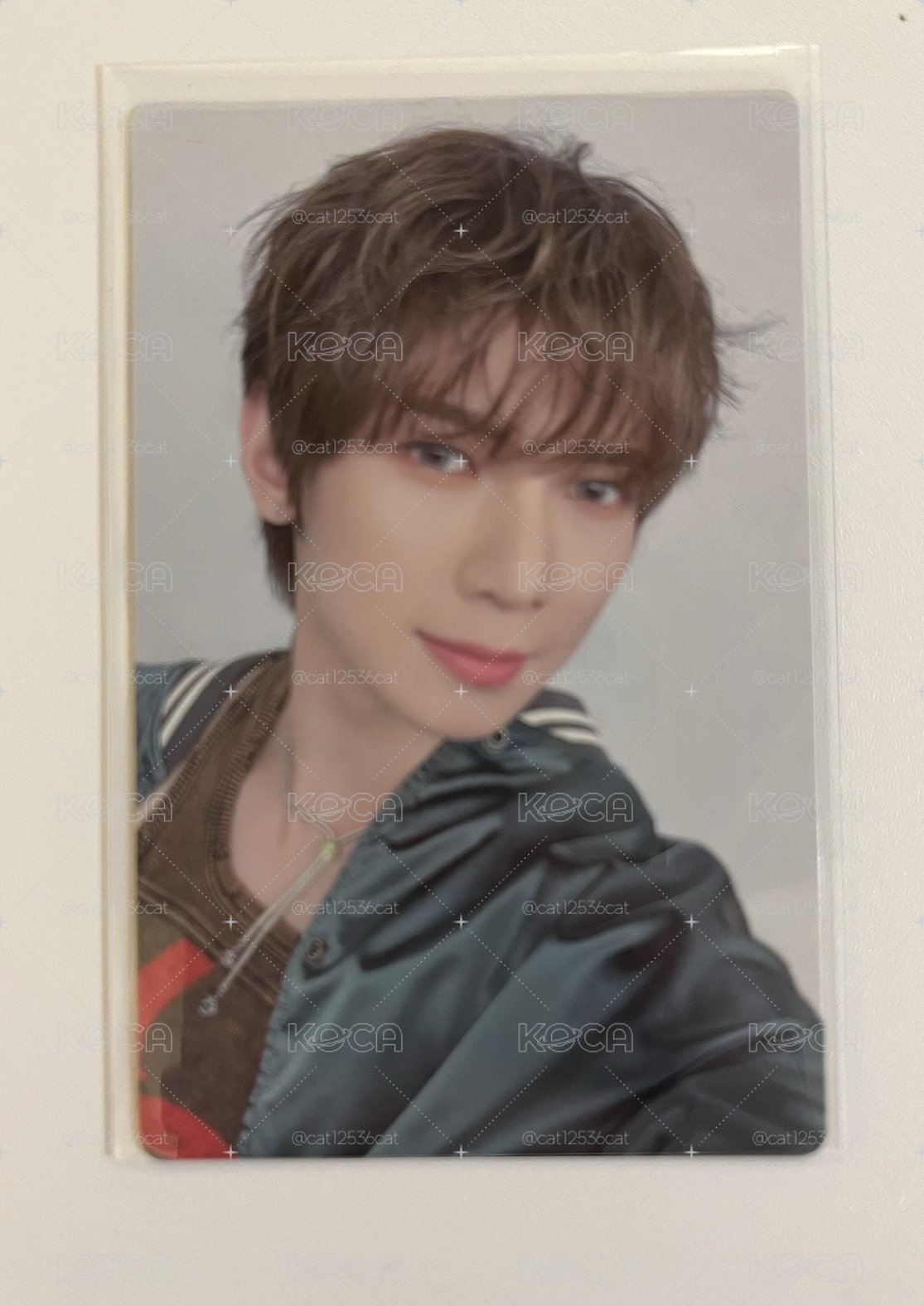 Birthday Q毛尚