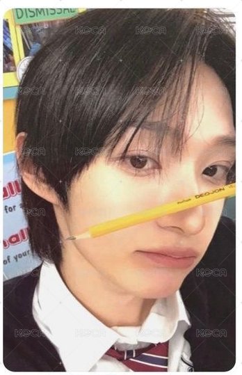 迷二專卡東花