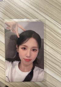 ms8.0貓耳麵